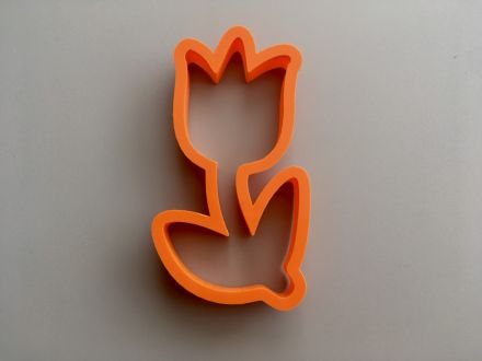 Tulipán
