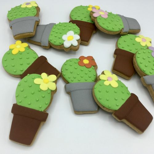 PJ kaktus v květináči P302