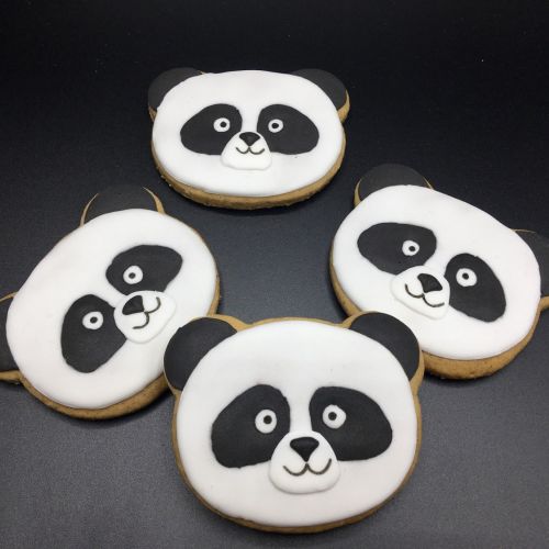 PJ panda F1086