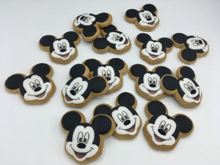 PJ Mickey Mouse F347