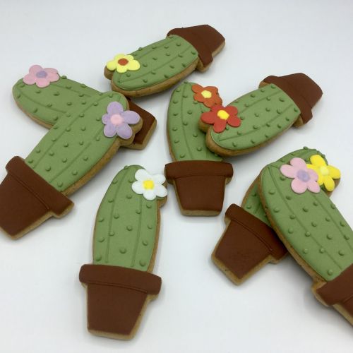 PJ kaktus v květináči P303