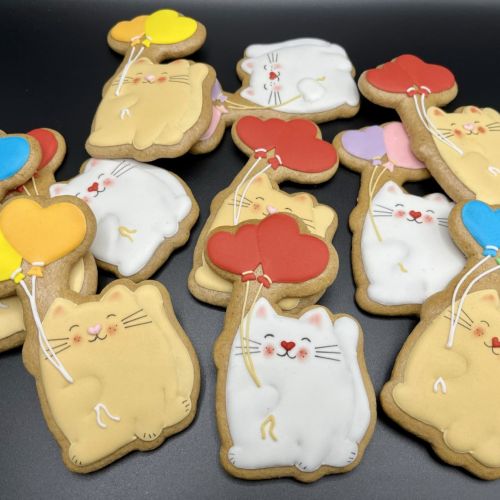 PJ kočička s balonky F1317