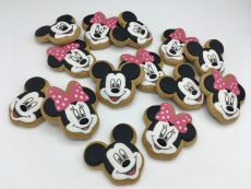 PJ Mickey Mouse F347