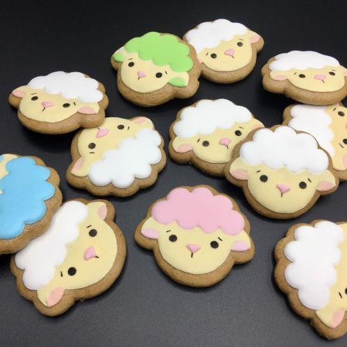 PJ beránek hlava F1231