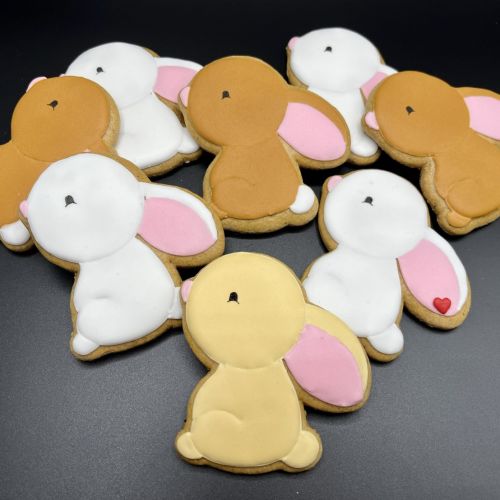  PJ zajíček ušáček F1238