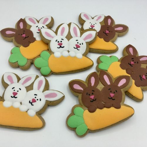  PJ dva zajíčkové s mrkví F883