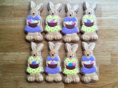 Zaječice s ošatkou vajíček F421