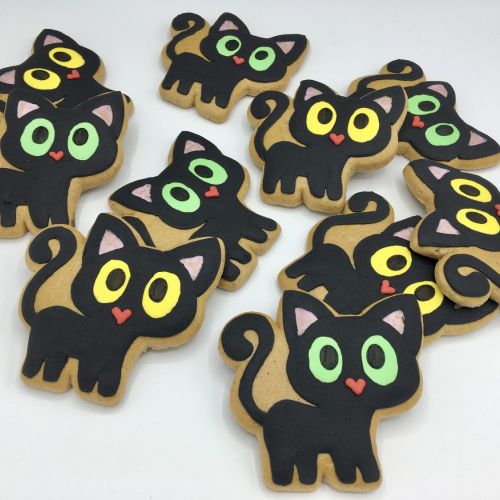 PJ kočka Halloween F1262