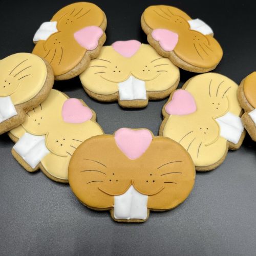  PJ zaječí tlamička F1233