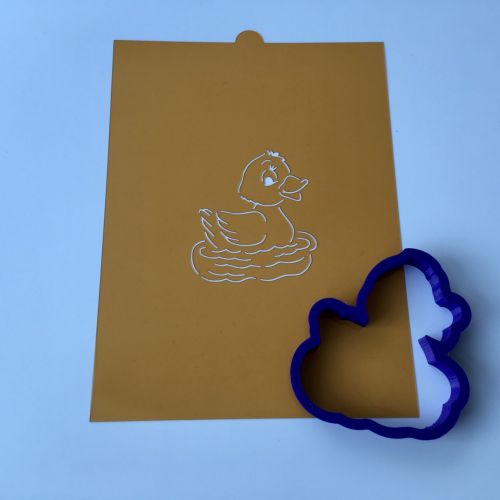 Kachnička na vodě P11