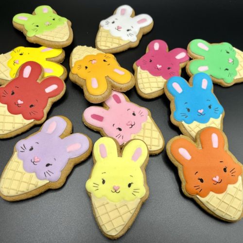 PJ zajíc zmrzlina P51