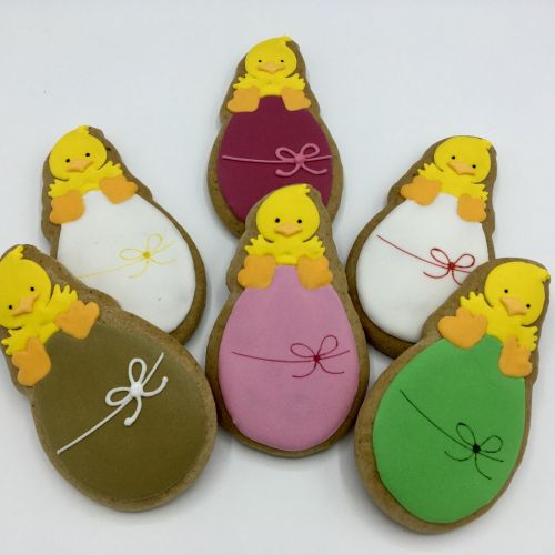  PJ kachně na vajíčku P09