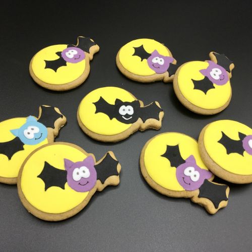  PJ netopýr a měsíc F1265