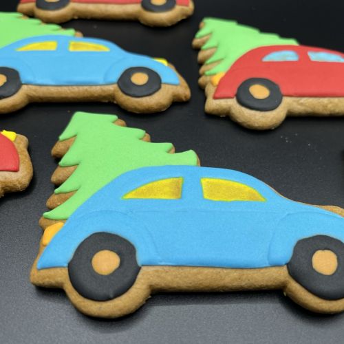 PJ auto se stromkem F836