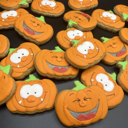  PJ veselá dýně F1173