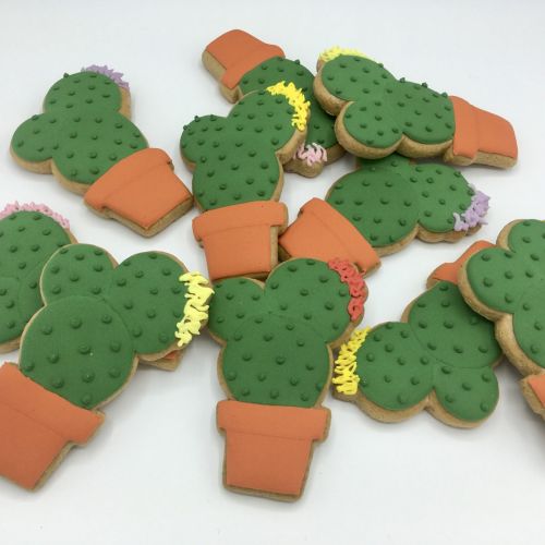 PJ kaktus v květináči P301