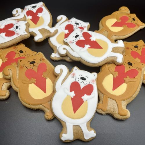 PJ kocourek se srdíčkem F1191