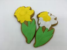 Narcis P30