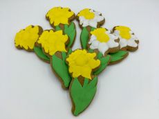 Narcis P30